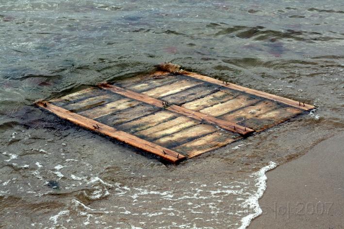 Die Nordsee 11.jpg - Strandgut am Ellenbogen, Deutschland nödrdlichste Stelle.